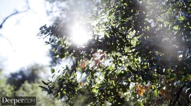 Deeper. Babes share cock in passionate threesome