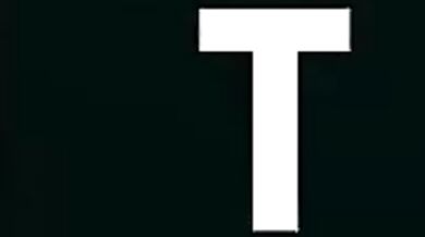 Beeg video #291730294838859